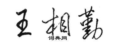 骆恒光王相勤行书个性签名怎么写