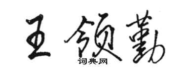 骆恒光王领勤行书个性签名怎么写