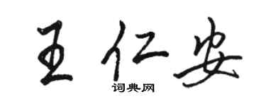骆恒光王仁安行书个性签名怎么写