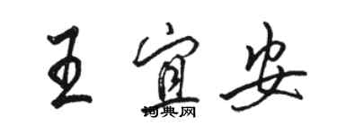 骆恒光王宜安行书个性签名怎么写