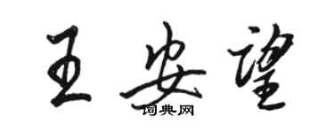 骆恒光王安望行书个性签名怎么写