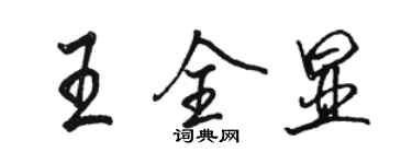 骆恒光王全显行书个性签名怎么写
