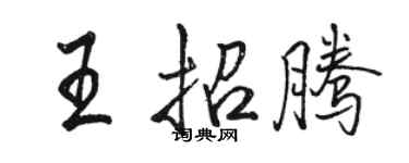 骆恒光王招腾行书个性签名怎么写