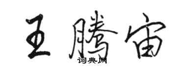 骆恒光王腾宙行书个性签名怎么写