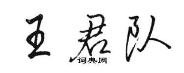 骆恒光王君队行书个性签名怎么写