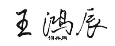 骆恒光王鸿辰行书个性签名怎么写