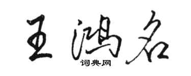 骆恒光王鸿名行书个性签名怎么写