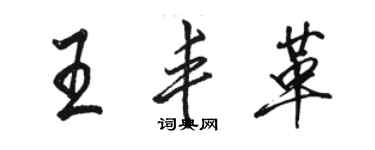 骆恒光王丰革行书个性签名怎么写