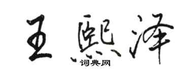 骆恒光王熙泽行书个性签名怎么写
