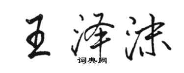 骆恒光王泽沫行书个性签名怎么写