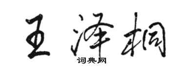 骆恒光王泽桐行书个性签名怎么写