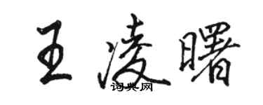骆恒光王凌曙行书个性签名怎么写