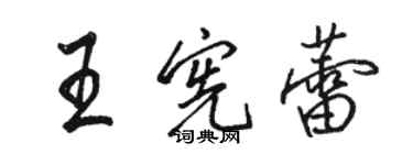 骆恒光王宪蕾行书个性签名怎么写