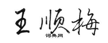 骆恒光王顺梅行书个性签名怎么写