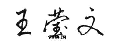 骆恒光王莹文行书个性签名怎么写