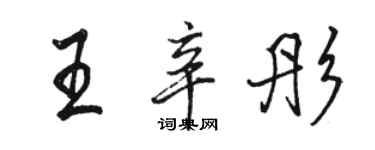 骆恒光王辛彤行书个性签名怎么写
