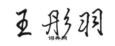 骆恒光王彤羽行书个性签名怎么写