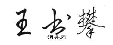 骆恒光王书攀行书个性签名怎么写