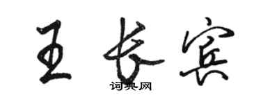 骆恒光王长宾行书个性签名怎么写