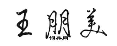 骆恒光王朋美行书个性签名怎么写