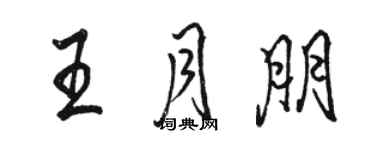 骆恒光王月朋行书个性签名怎么写
