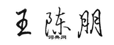 骆恒光王陈朋行书个性签名怎么写