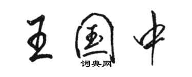 骆恒光王国中行书个性签名怎么写