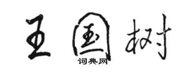 骆恒光王国树行书个性签名怎么写