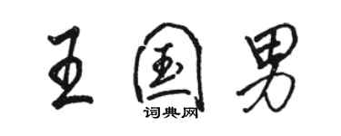 骆恒光王国男行书个性签名怎么写