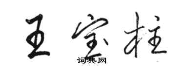 骆恒光王宝柱行书个性签名怎么写