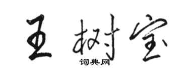 骆恒光王树宝行书个性签名怎么写