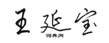 骆恒光王延宝行书个性签名怎么写