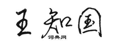 骆恒光王知国行书个性签名怎么写