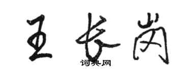 骆恒光王长岗行书个性签名怎么写
