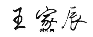 骆恒光王家辰行书个性签名怎么写