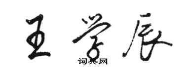 骆恒光王学辰行书个性签名怎么写