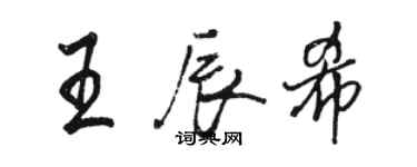 骆恒光王辰希行书个性签名怎么写
