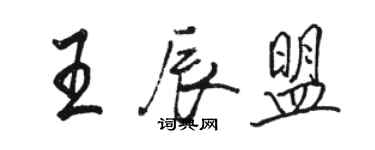 骆恒光王辰盟行书个性签名怎么写