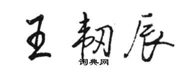 骆恒光王韧辰行书个性签名怎么写