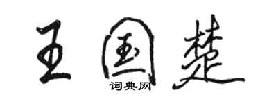 骆恒光王国楚行书个性签名怎么写