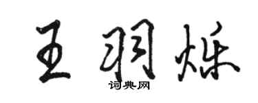 骆恒光王羽烁行书个性签名怎么写