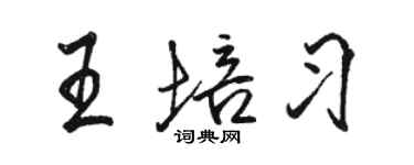 骆恒光王培习行书个性签名怎么写