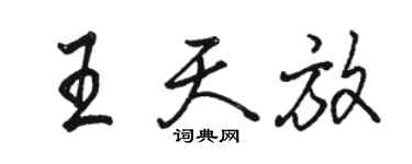 骆恒光王天放行书个性签名怎么写