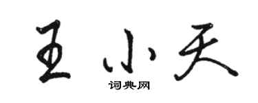 骆恒光王小天行书个性签名怎么写