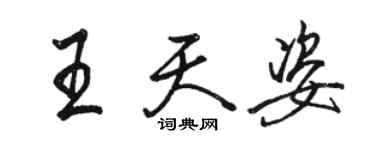 骆恒光王天姿行书个性签名怎么写