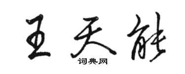 骆恒光王天能行书个性签名怎么写