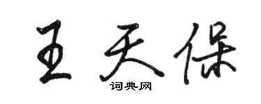 骆恒光王天保行书个性签名怎么写