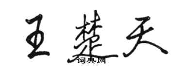 骆恒光王楚天行书个性签名怎么写