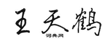 骆恒光王天鹤行书个性签名怎么写