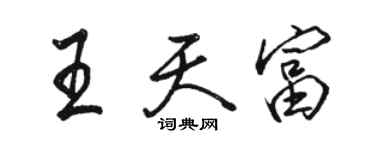 骆恒光王天富行书个性签名怎么写